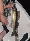 20250629_235243.jpg 20250629_235243.jpg