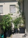 IMG_20250703_094629.jpg