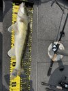 IMG_5270.jpeg