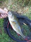 IMG_20250703_183509.jpg