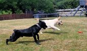 IMG_20250705_192129.jpg