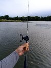 IMG_20250706_174444.jpg