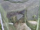 IMG_0280.jpeg