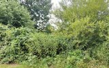 IMG_20250706_195800.jpg