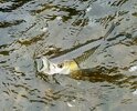 IMG_20250706_115114.jpg