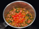 2 Ragu 250706.jpg