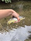 IMG_0712.jpeg