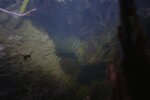 DSC04622a.JPG