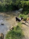IMG_0228.jpeg