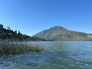 IMG_6022.jpg
