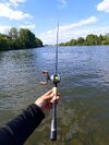 IMG_20250711_171332.jpg