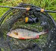02DD77B2-076F-4A5B-9360-8C0C9DBDFE37.jpeg