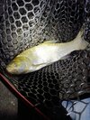IMG_20250712_222318.jpg