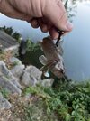 IMG_0317.jpeg