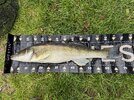 IMG_2774.jpeg