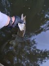 IMG_20250714_215616.jpg