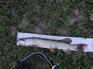 IMG_20250715_215120.jpg