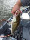 IMG_20250716_140049.jpg
