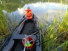 IMG_20250717_184742_315.jpg