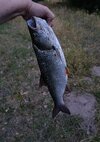 IMG_20250719_214504.jpg