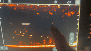 vlc_oj23NVrVmO.gif