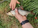 IMG_20250720_163718.jpg
