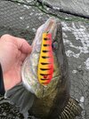 IMG_9399.jpeg IMG_9399.jpeg