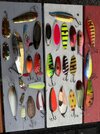 IMG_8284.jpeg