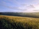 IMG_20250725_063853~2.jpg