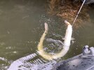 IMG_1595.jpeg