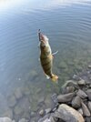 IMG_4066.jpeg