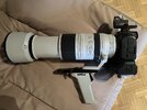IMG_8550.jpeg
