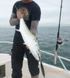 2018-07-30_Balboa Charter 28xx.jpg