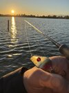 IMG_8677.jpeg