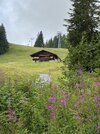 IMG_8190.jpeg