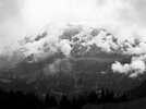 IMG_8197.jpeg