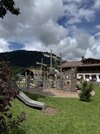 IMG_8098.jpeg
