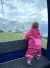 IMG_8236.jpeg