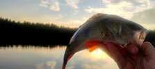 IMG_20250721_204742_edit_564129094521155.jpg