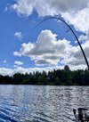 IMG_4346.jpeg