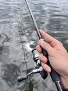 IMG_4351.jpeg
