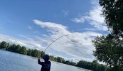 IMG_4387.jpeg