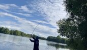 IMG_4390.jpeg