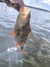 IMG_20250730_133436.jpg