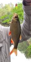 20250730_221656.jpg