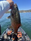 IMG_5880.jpeg