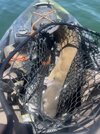 IMG_5887.jpeg