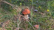 IMG_4189.jpeg