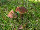 IMG_4192.jpeg