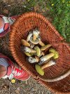 IMG_4191.jpeg